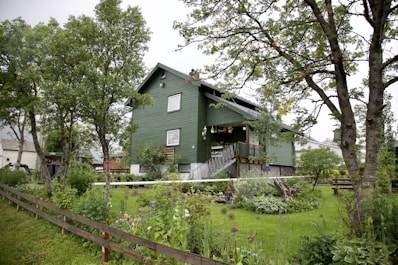 Cozy family house surrounded by greenery in a quiet Addis Ababa neighborhood.