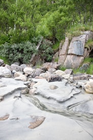 A natural landscape featuring large rocks partially covered by lush green vegetation. In the foreground, smooth, sandy areas with water trickling through are visible. The scene is serene and captures a mixture of textures and colors from nature.