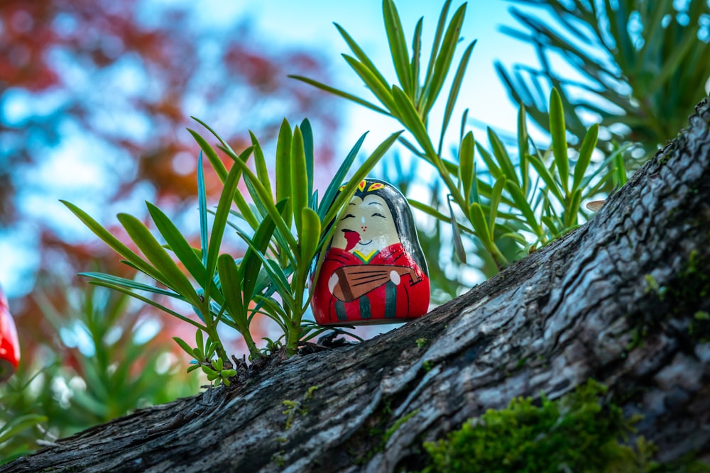 a red and white shoe sitting on top of a tree branch