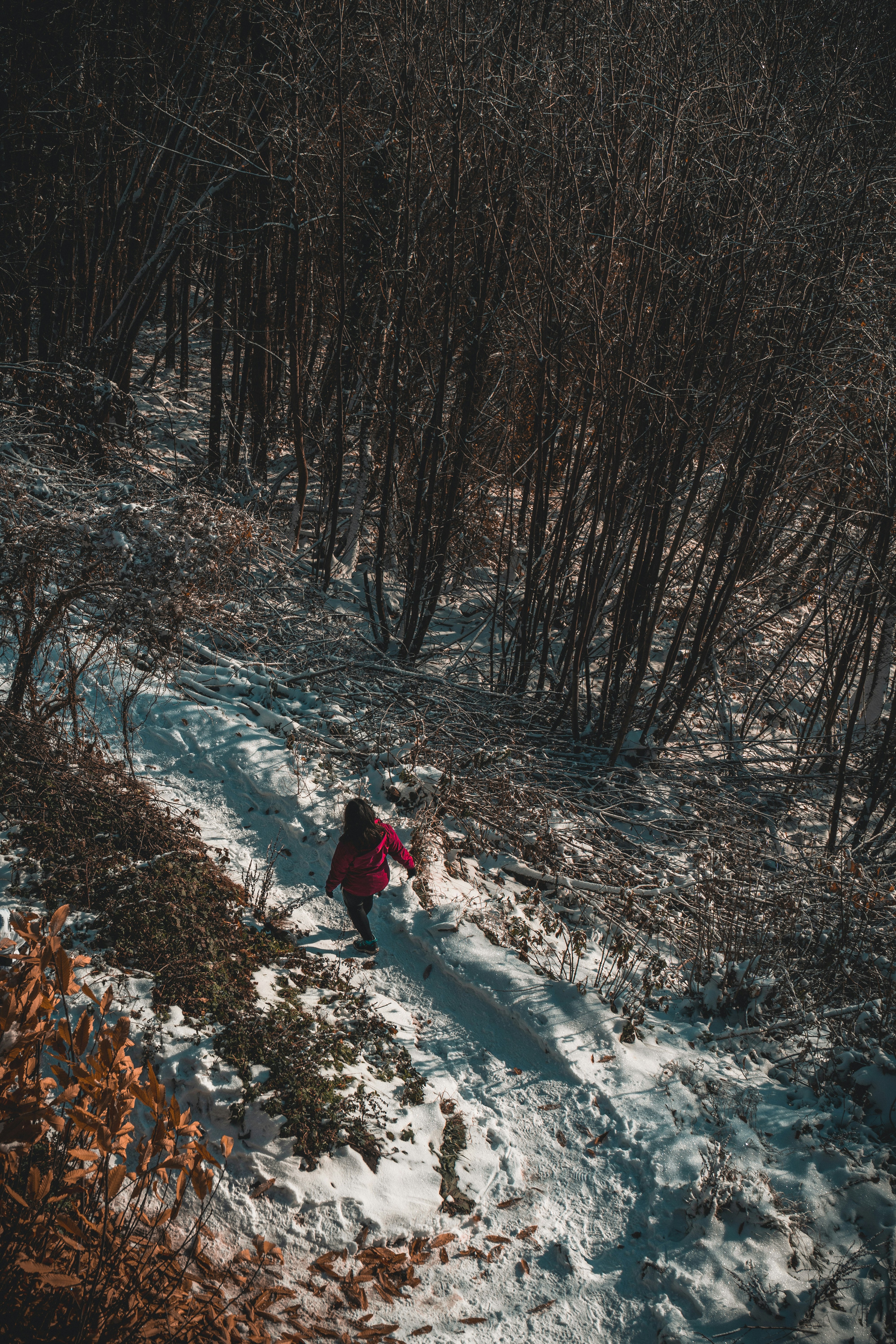 Photo by valentinlacoste