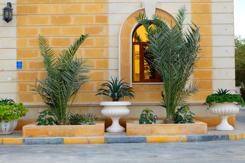 a group of planters sitting on the side of a building