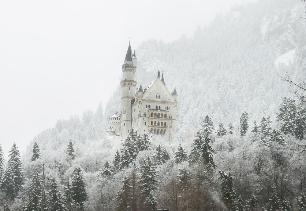 a castle in the middle of a snowy forest