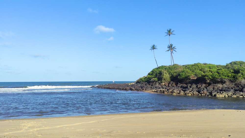 a sandy beach next to a body of water