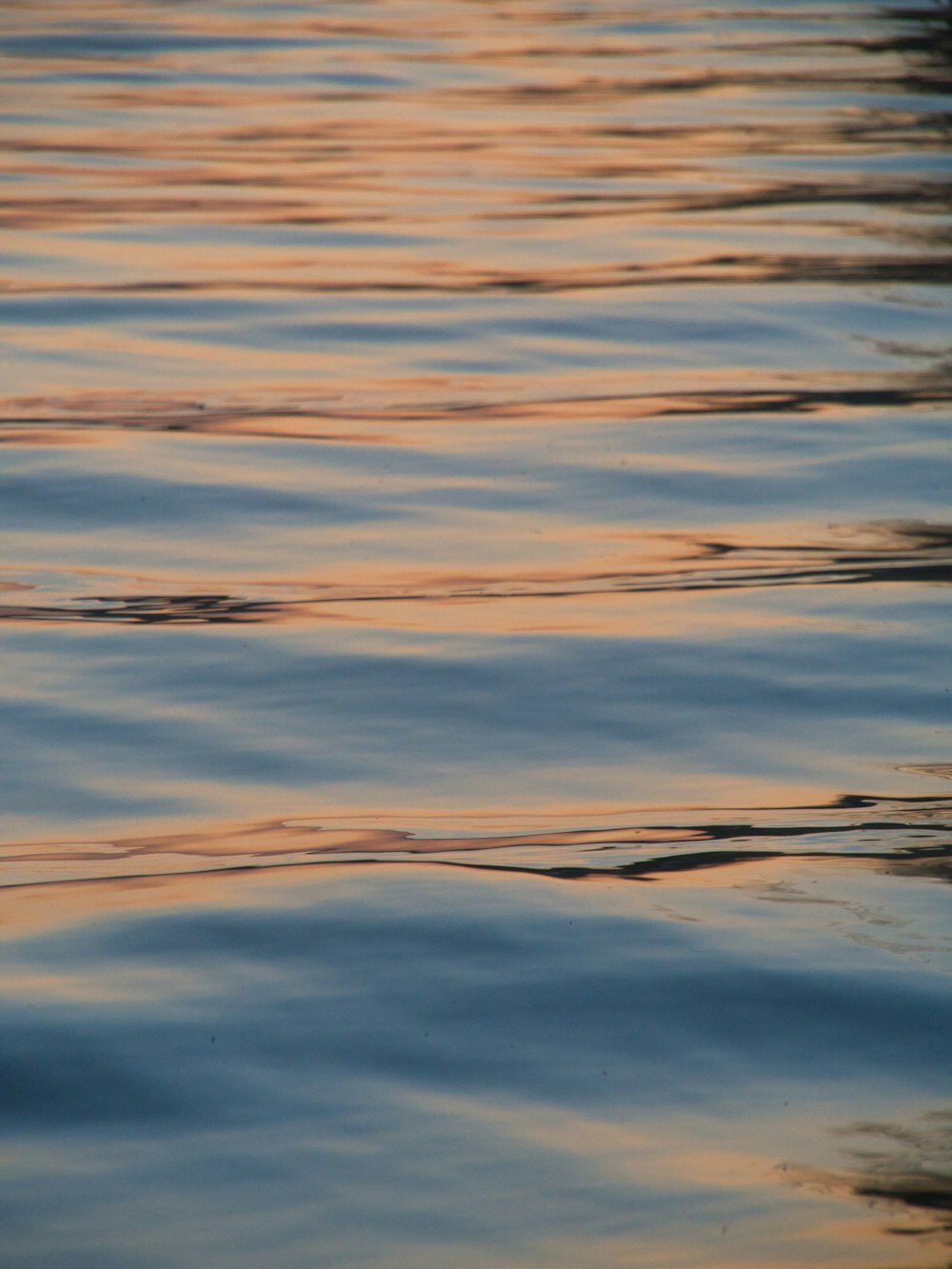 a bird flying over a body of water