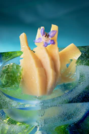 Elegant close-up of Matsutani's food ingredient products like Pineflow and Fiblesol arranged with gold and blue accents.