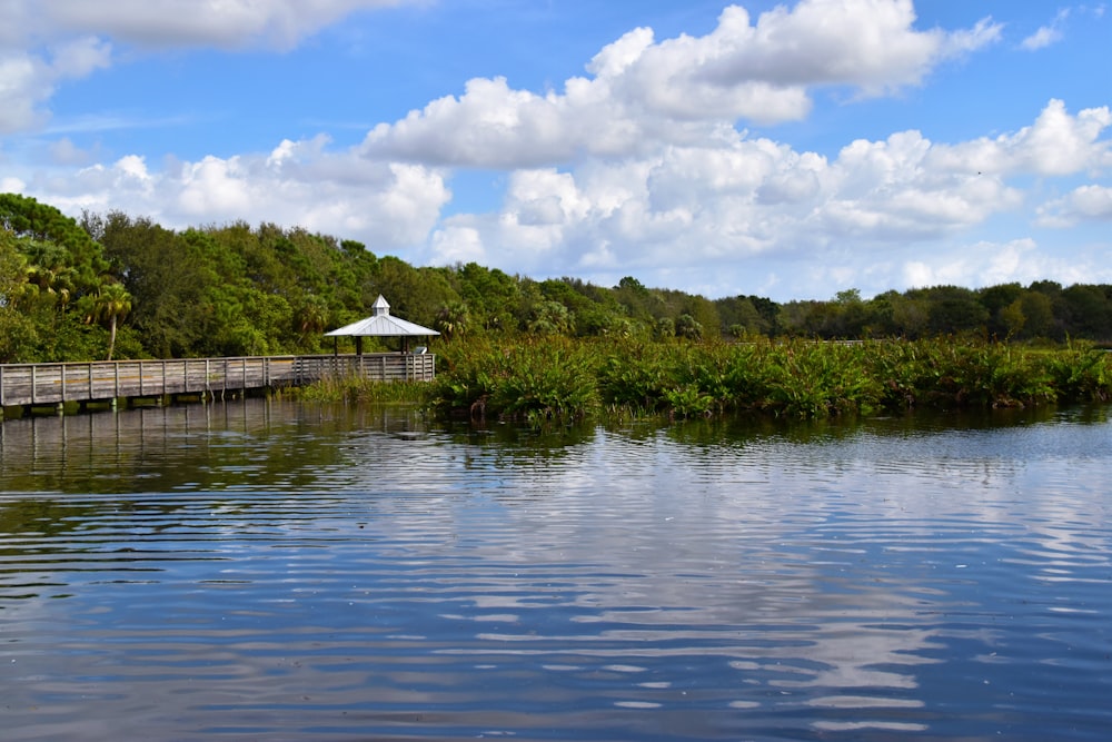 a body of water surrounded by trees and a bridge