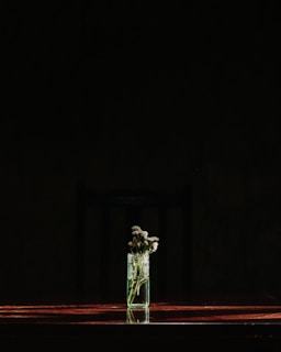A simple flower in a glass jar catching the morning sun on a wooden table