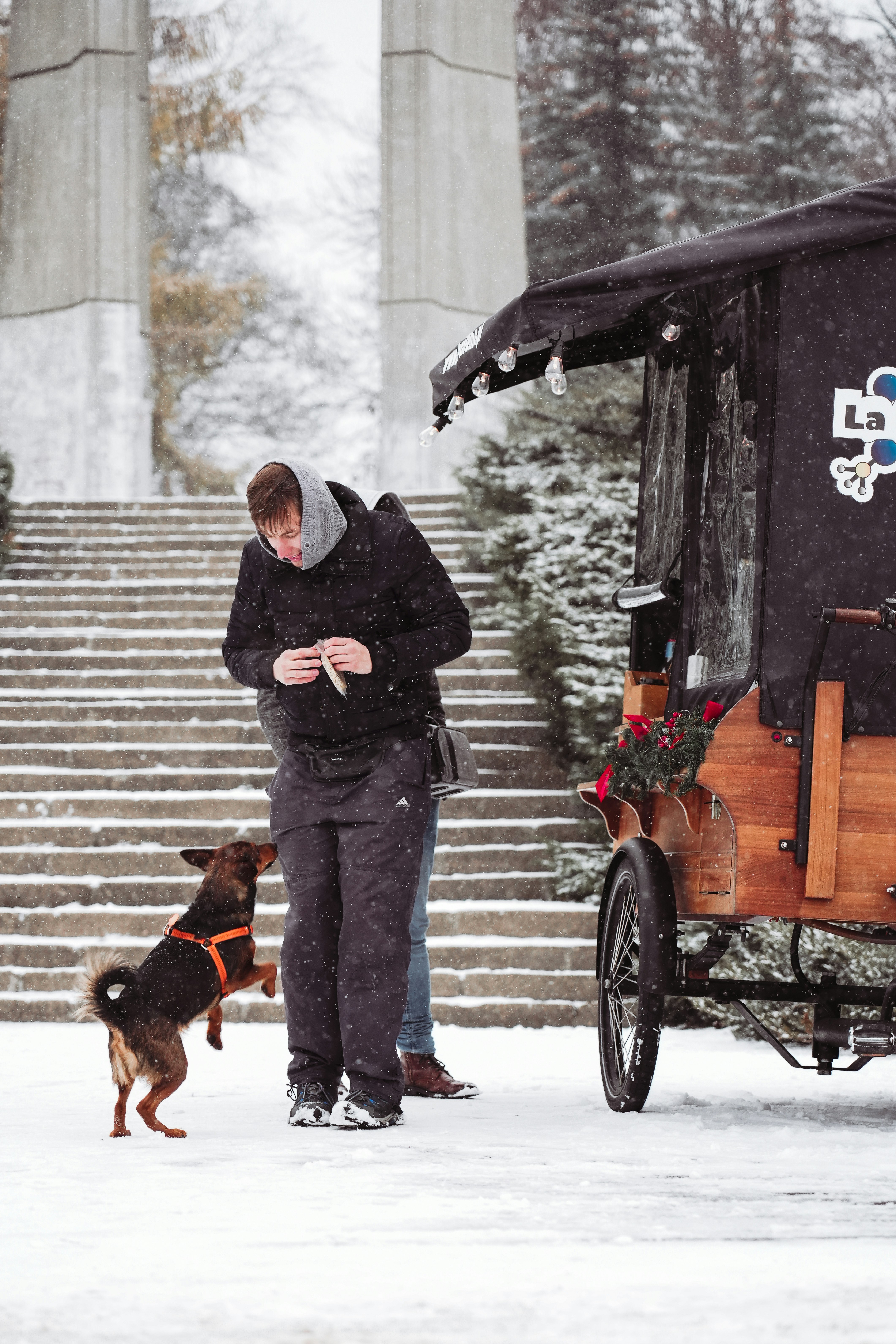 The Importance of Keeping Your Pets Warm in the Winter