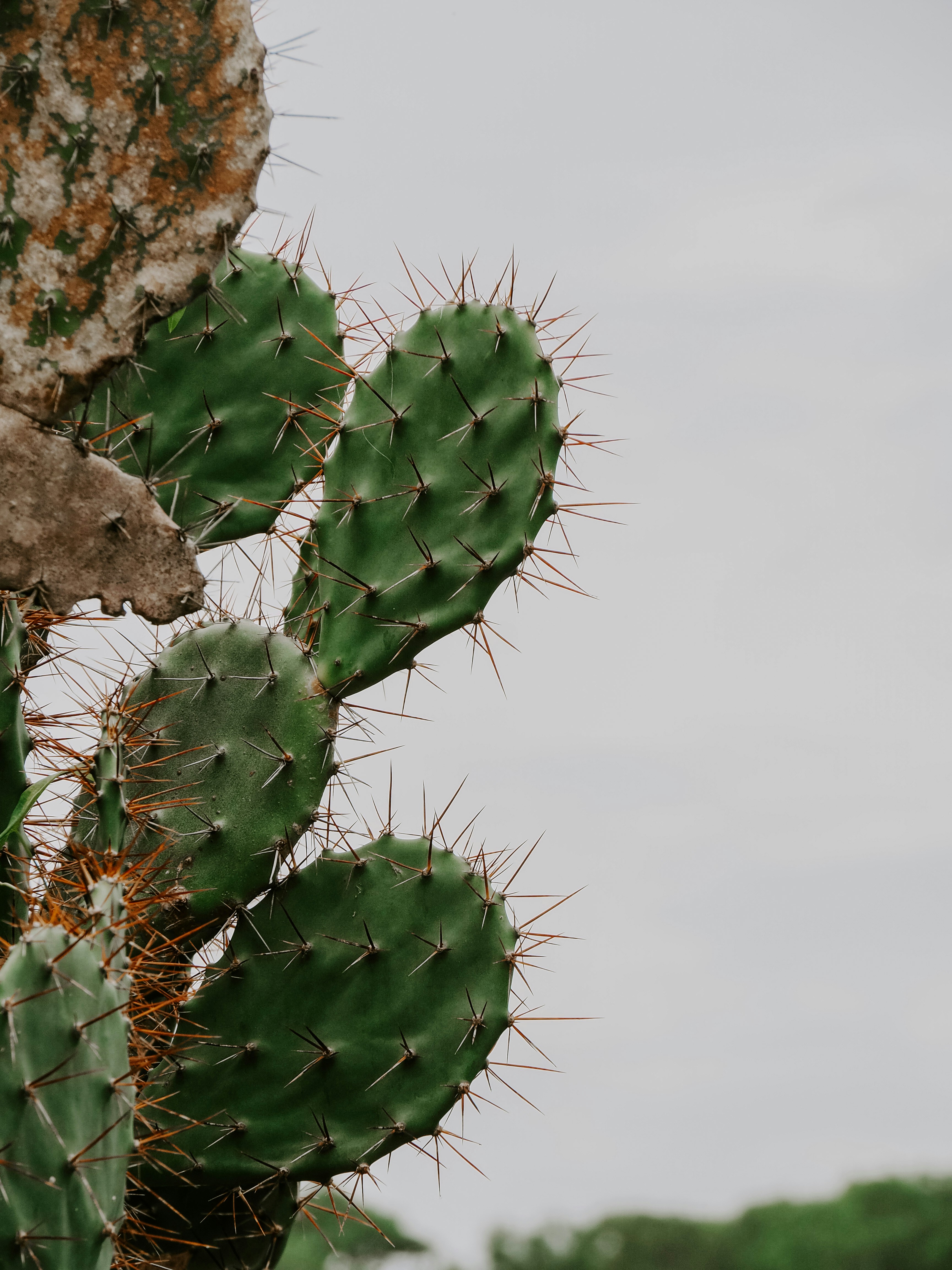 Photo by lesyasoboleva