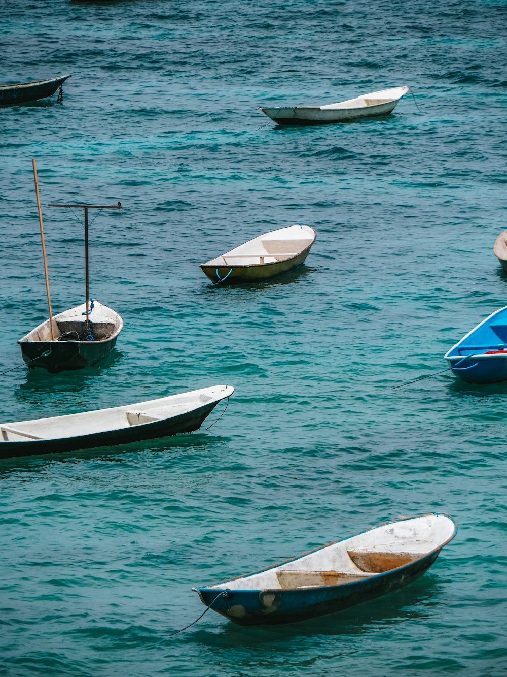 Eine Gruppe kleiner Boote, die auf einem Gewässer schwimmen