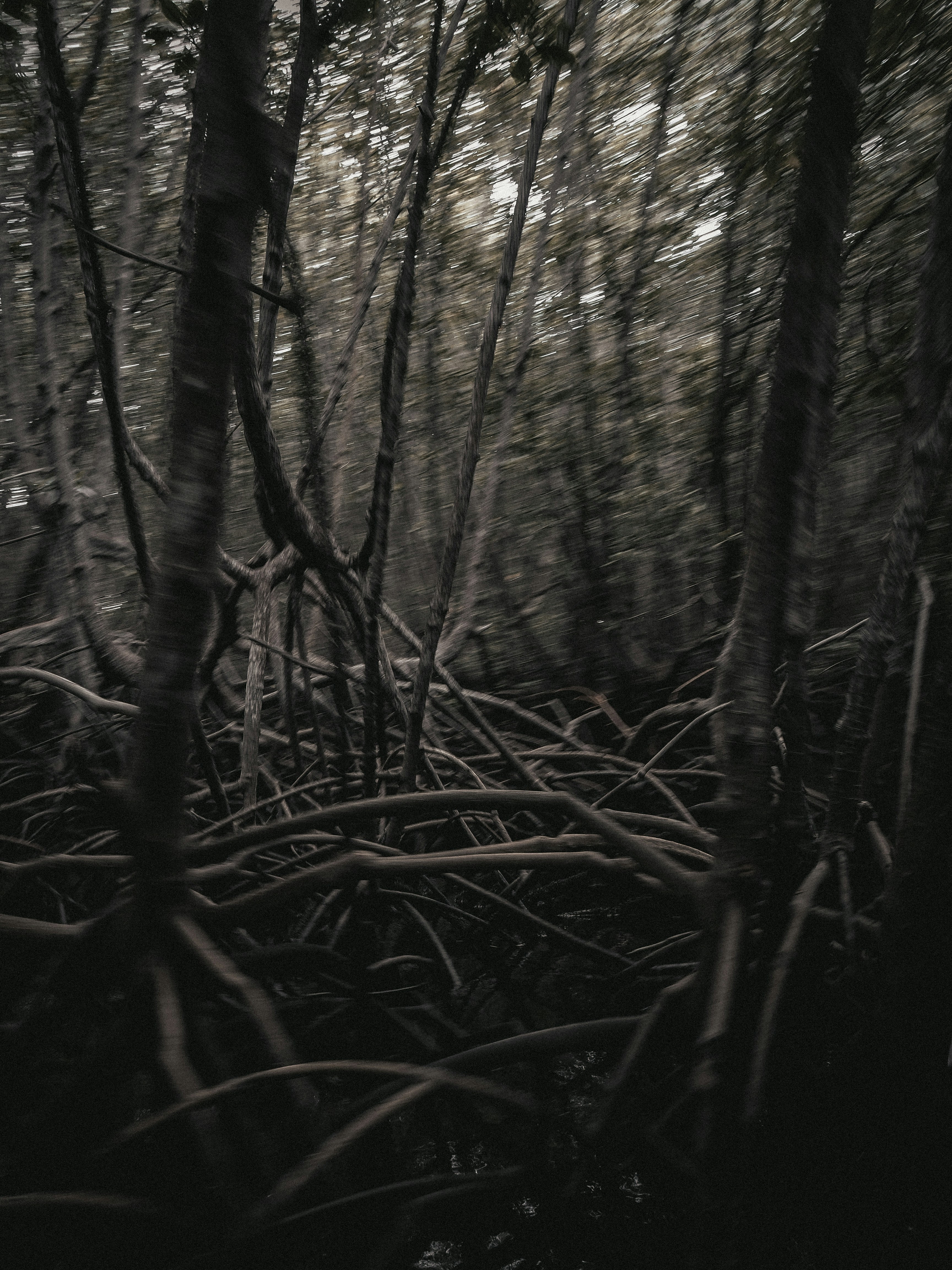 Photo by lesyasoboleva
