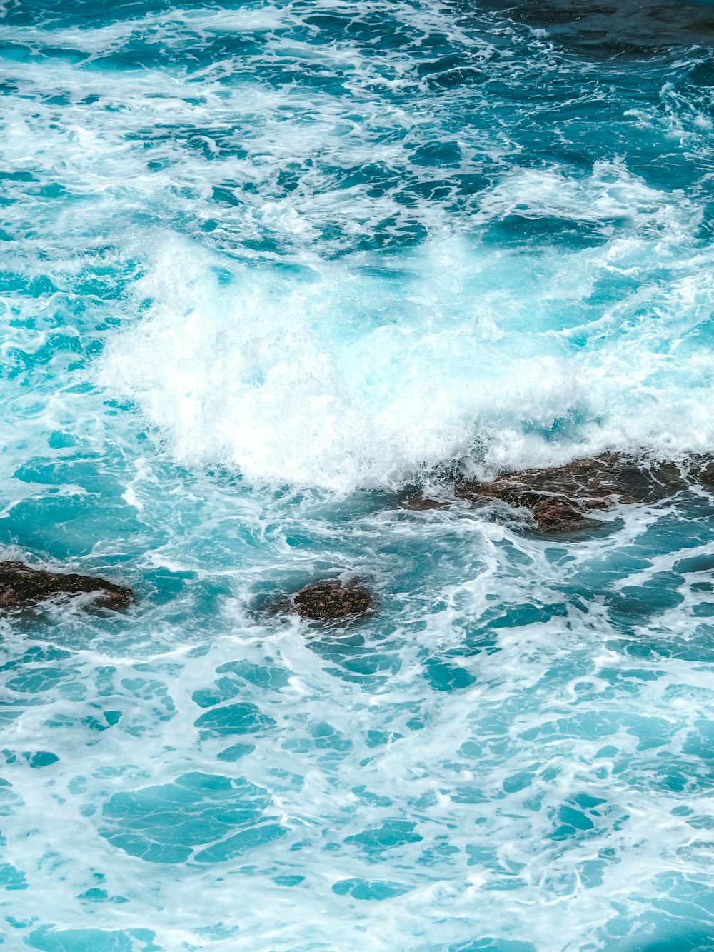 a bird sitting on top of a rock in the ocean