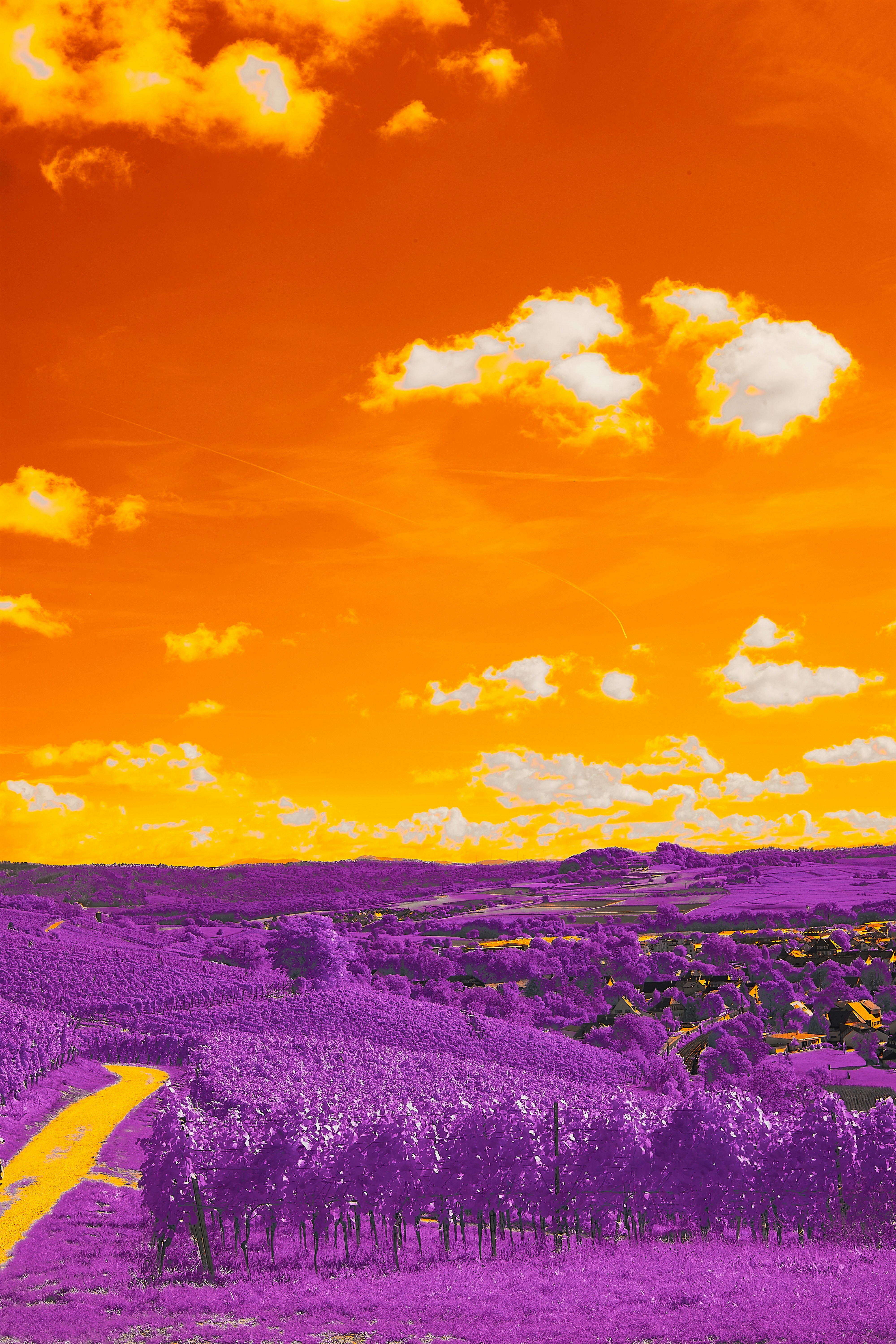 Photo by wolfgang_hasselmann