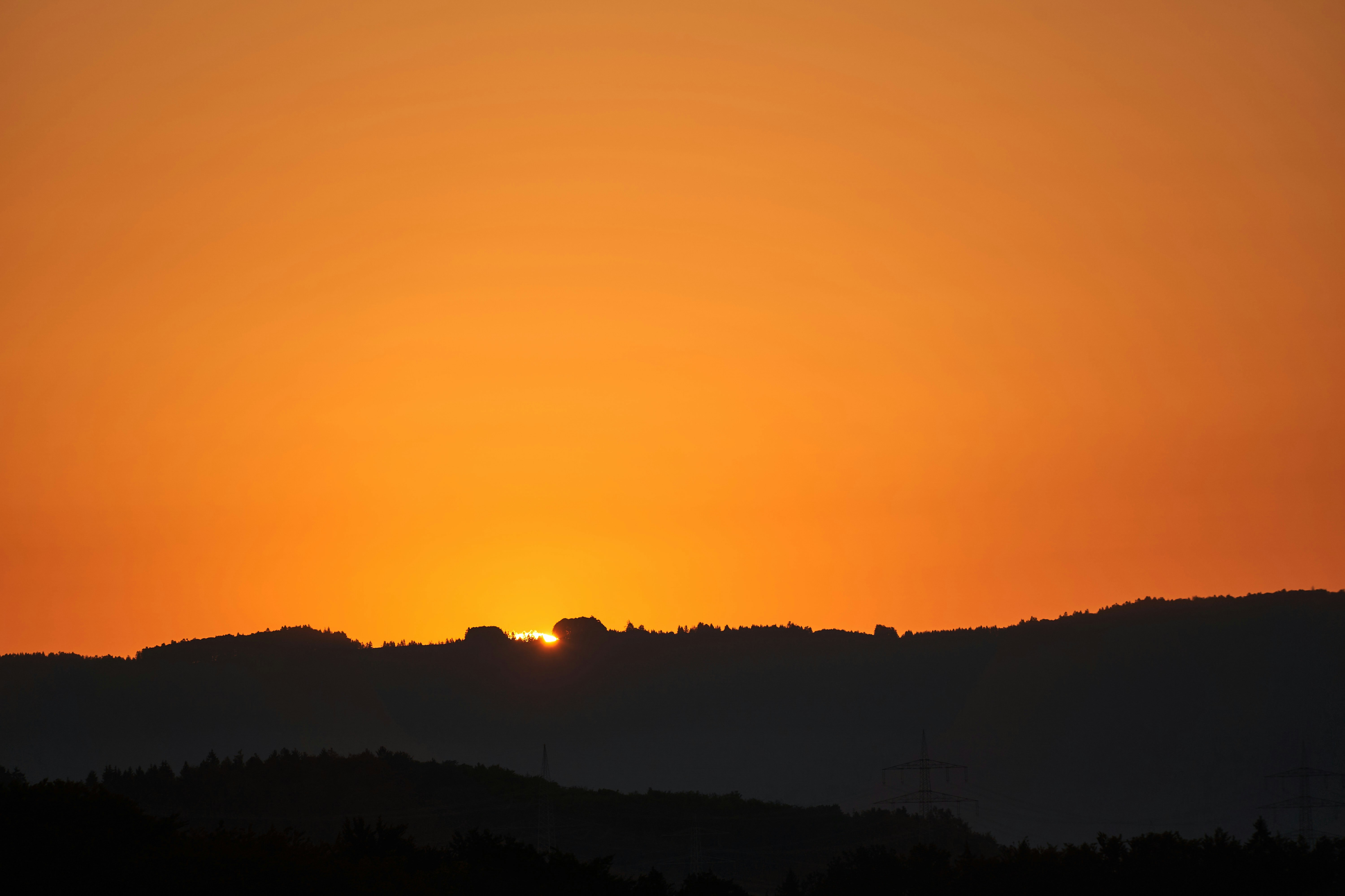 Photo by wolfgang_hasselmann