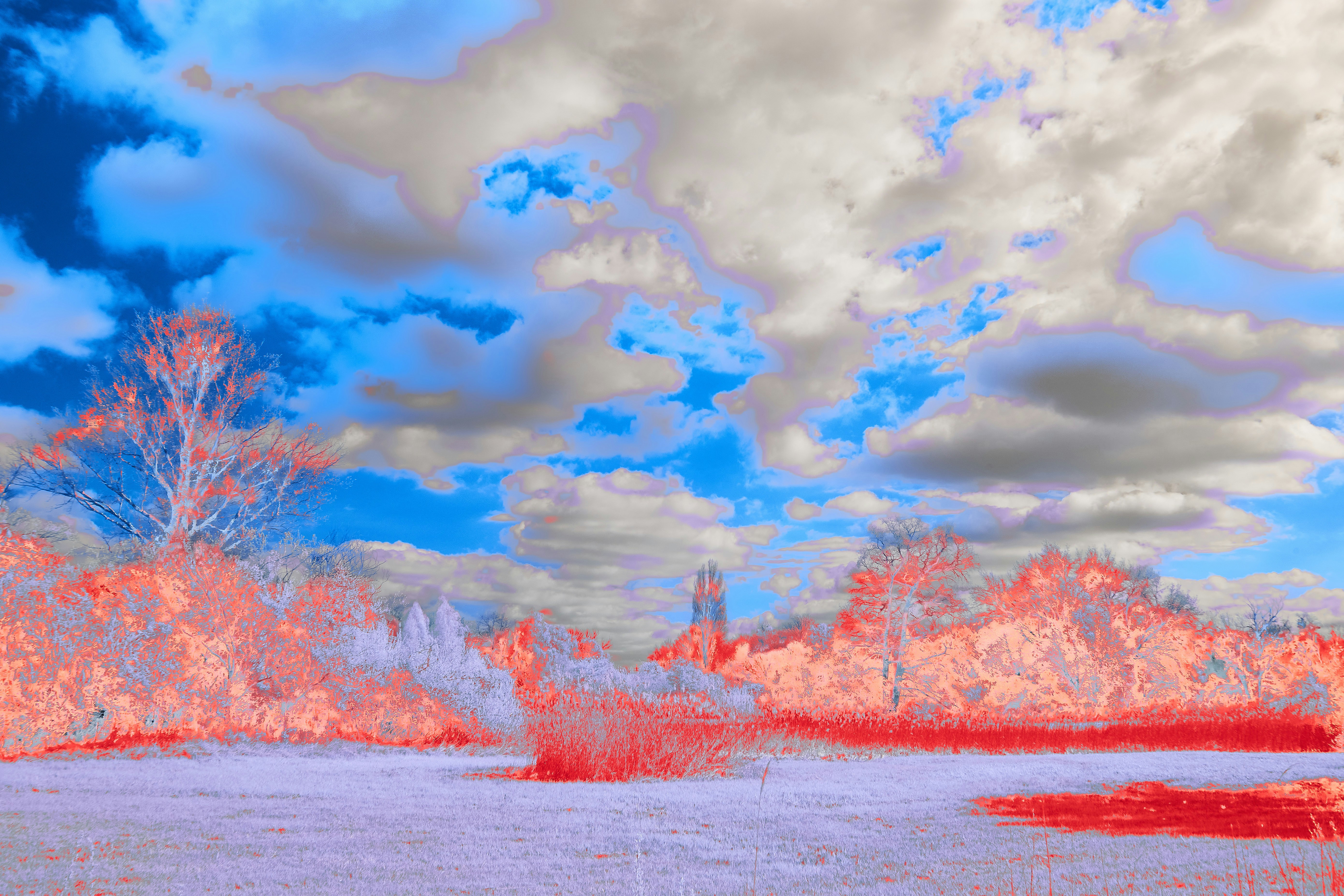 Photo by wolfgang_hasselmann