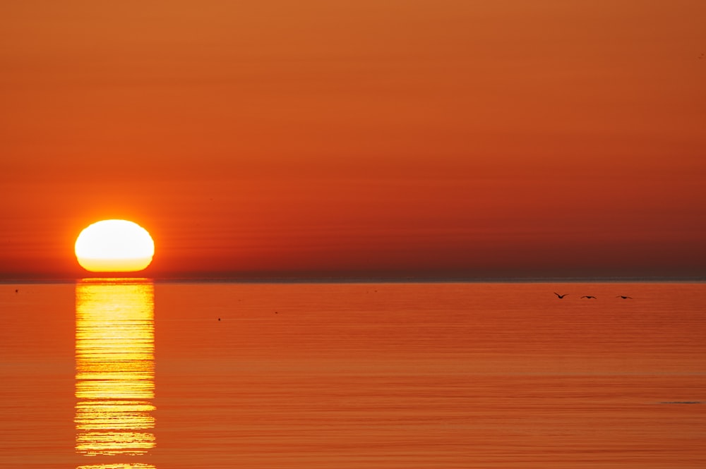 the sun is setting over the ocean with birds flying around