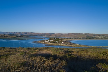 a body of water surrounded by a lush green field