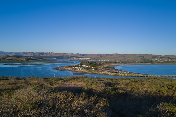a body of water surrounded by a lush green field
