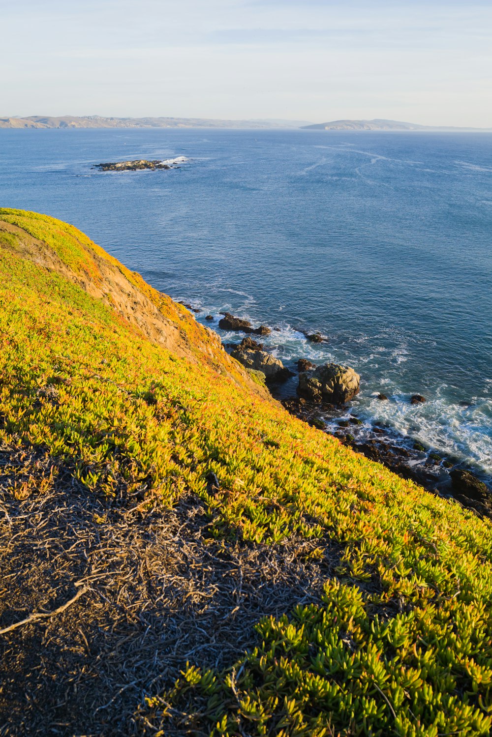 Una panchina seduta in cima a una lussureggiante collina verde vicino all'oceano