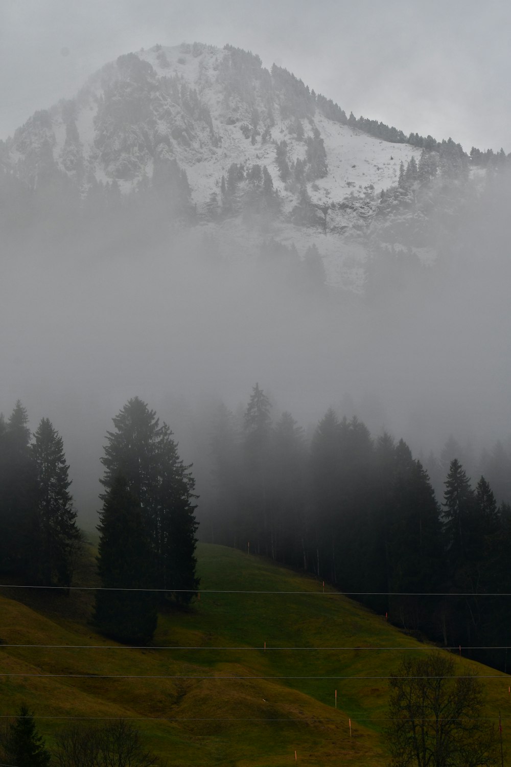 a mountain covered in fog with trees in the foreground