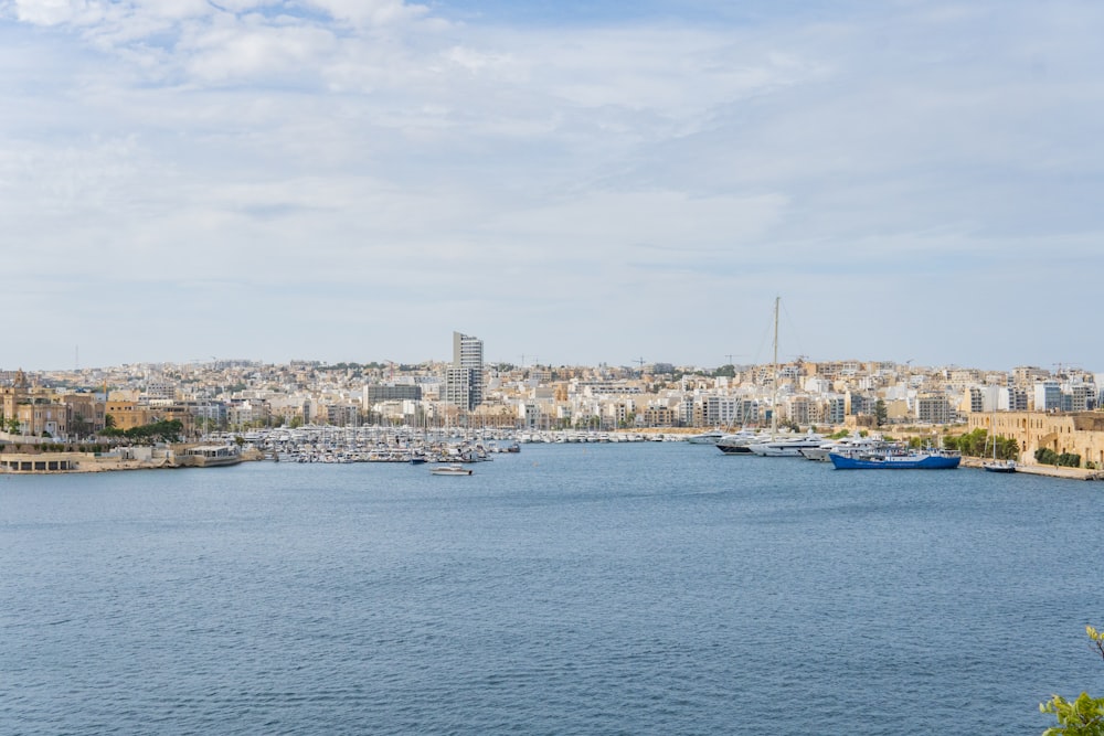 a large body of water with a city in the background