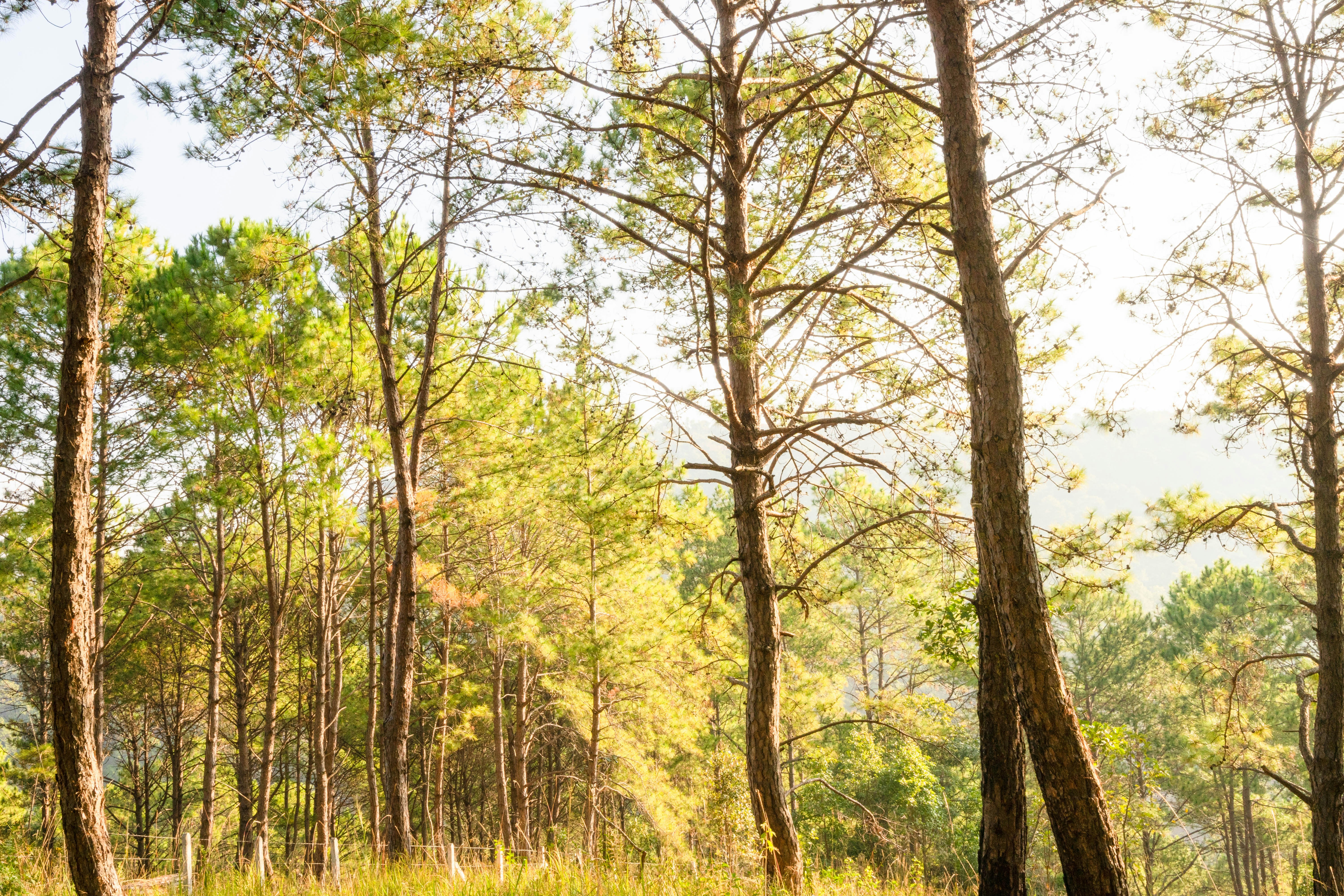 Photo by mrthetkhine