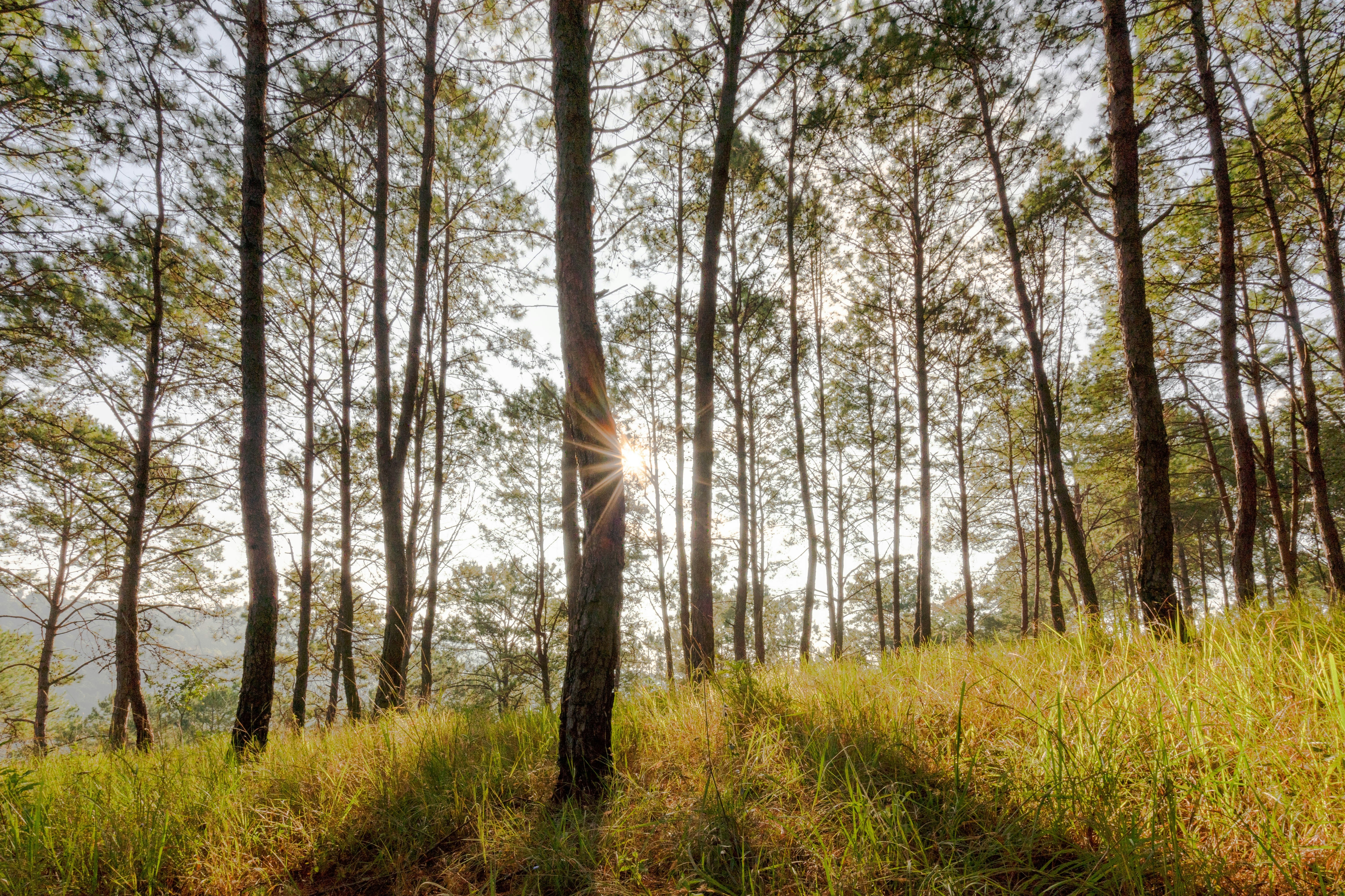 Photo by mrthetkhine