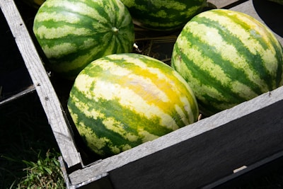Several large watermelons with green and yellow-striped skins are placed inside a wooden crate. The watermelons appear fresh and are arranged close to each other. Some green grass is visible on the left side outside the crate.