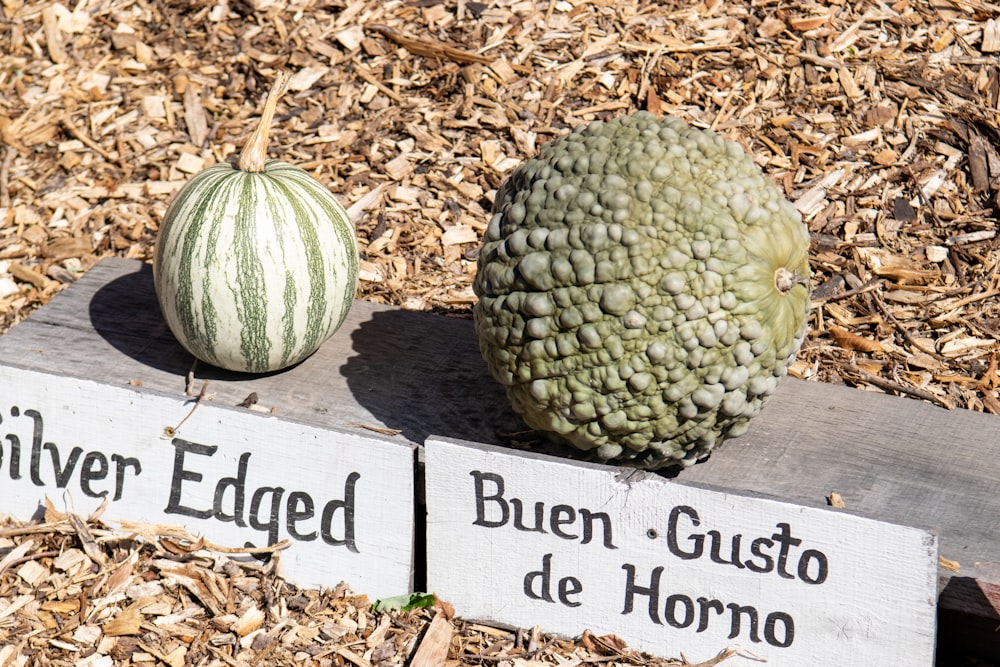 a cauliflower and a watermelon sitting on a sign