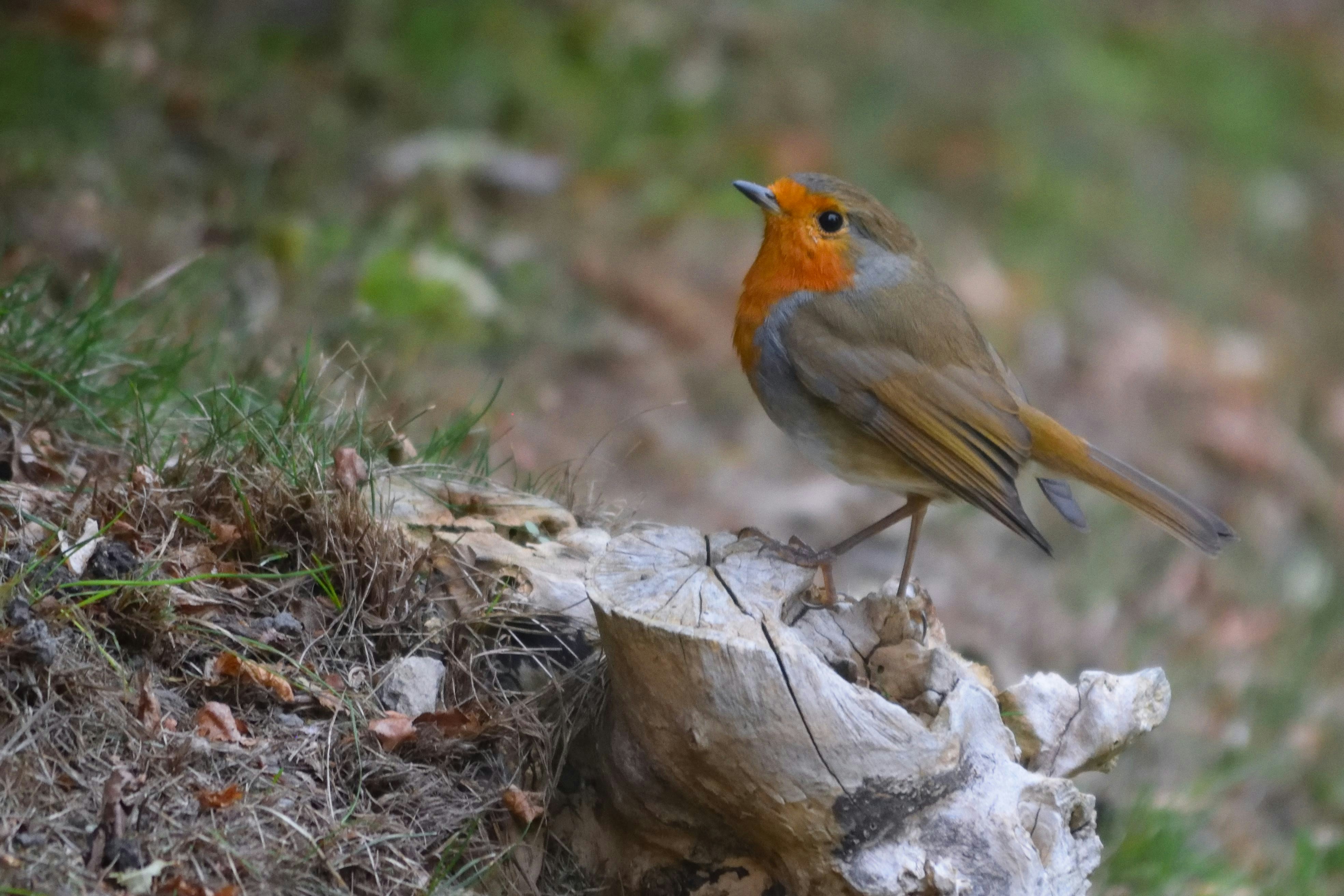 Photo by tobyjay2010