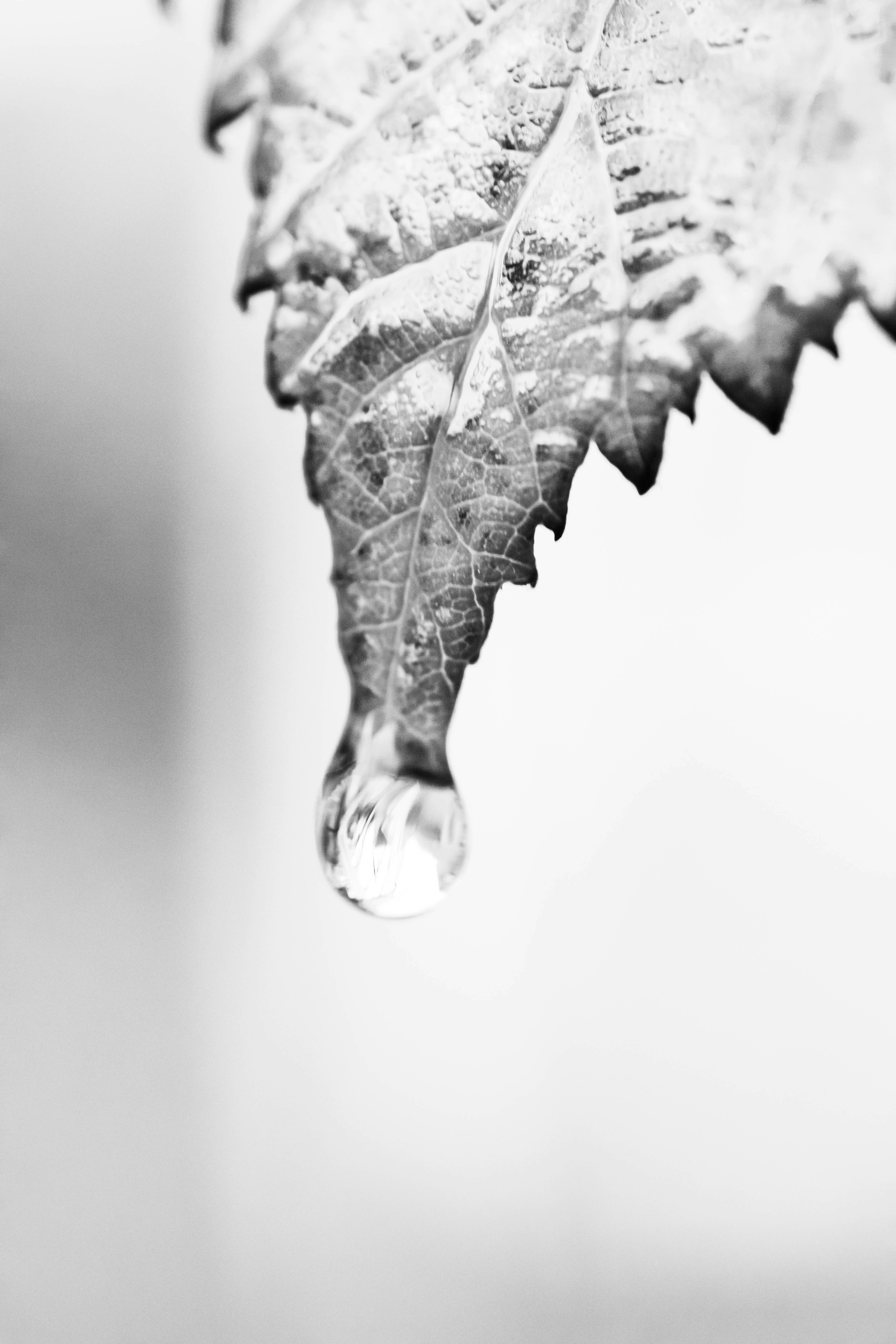 Photo by tobyjay2010