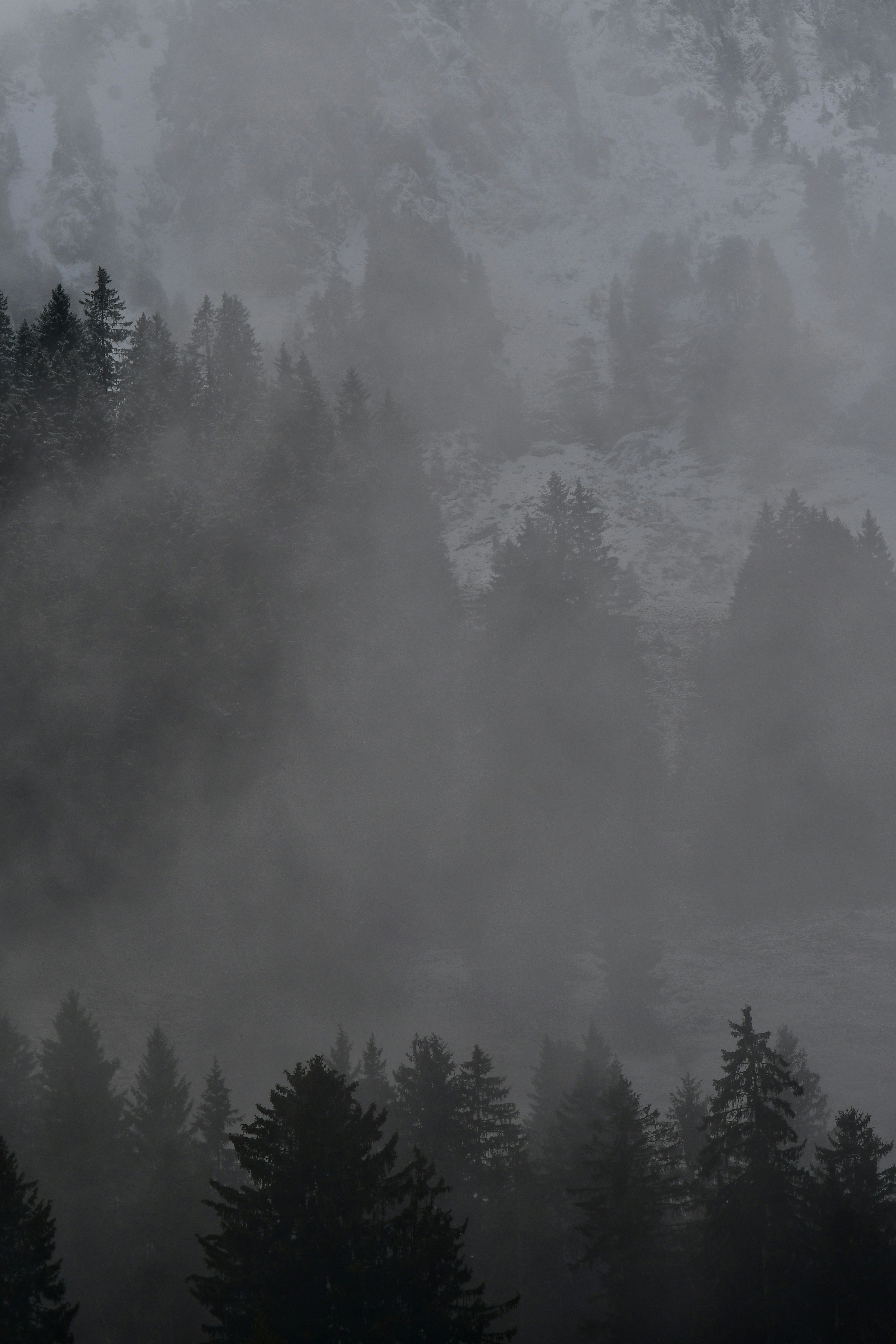 Photo by pedrino5_official