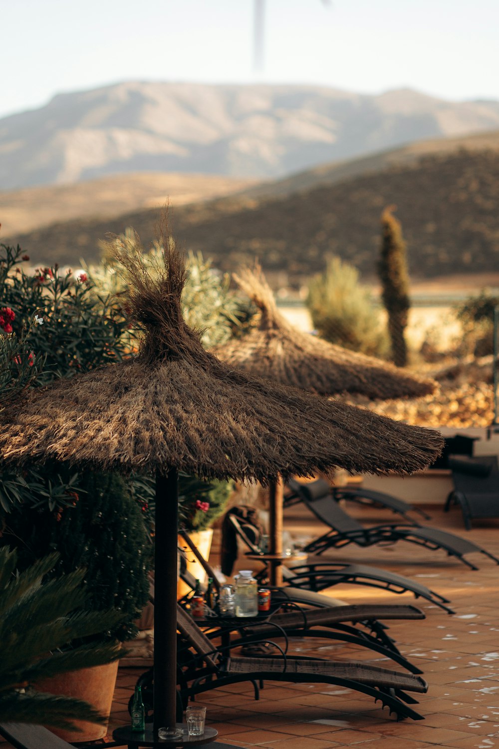 a row of chaise lounges with a mountain in the background