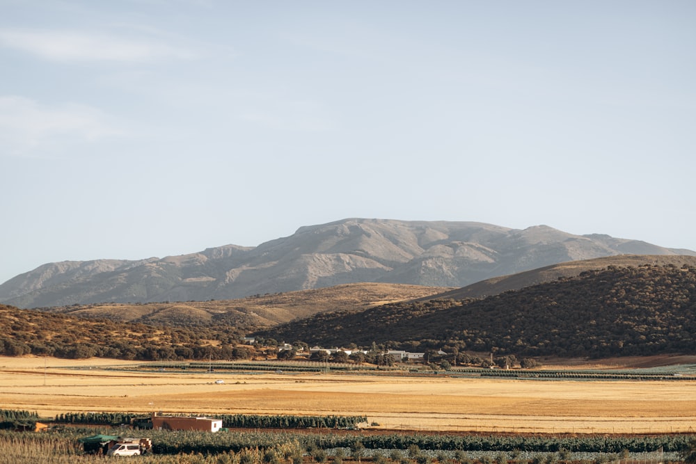 a field with a mountain in the background