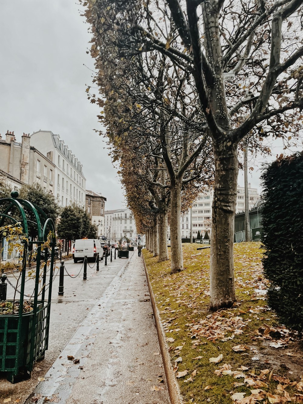 a street lined with trees next to tall buildings