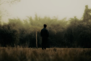 A solitary figure stands in an open field, facing a dense forest. The scene is enveloped in a misty, dreamlike atmosphere, with soft, diffused lighting contributing to the ethereal quality. The surrounding trees create a natural boundary, with their blurred outlines blending into the foggy background.