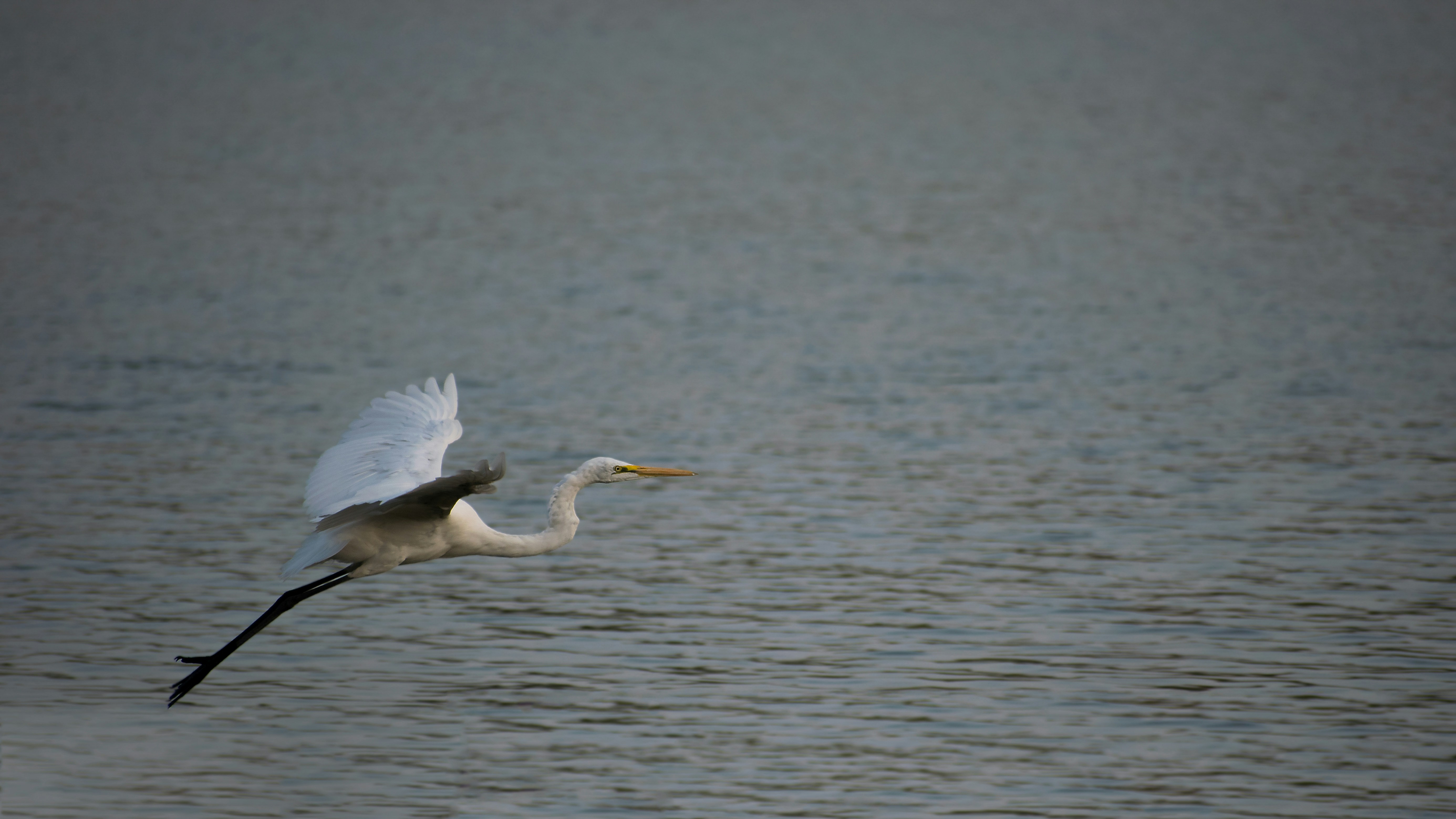 Photo by burhanuddin124512