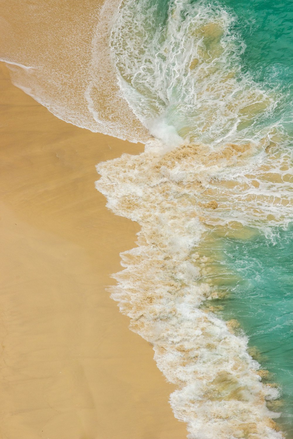 a bird flying over a beach next to the ocean