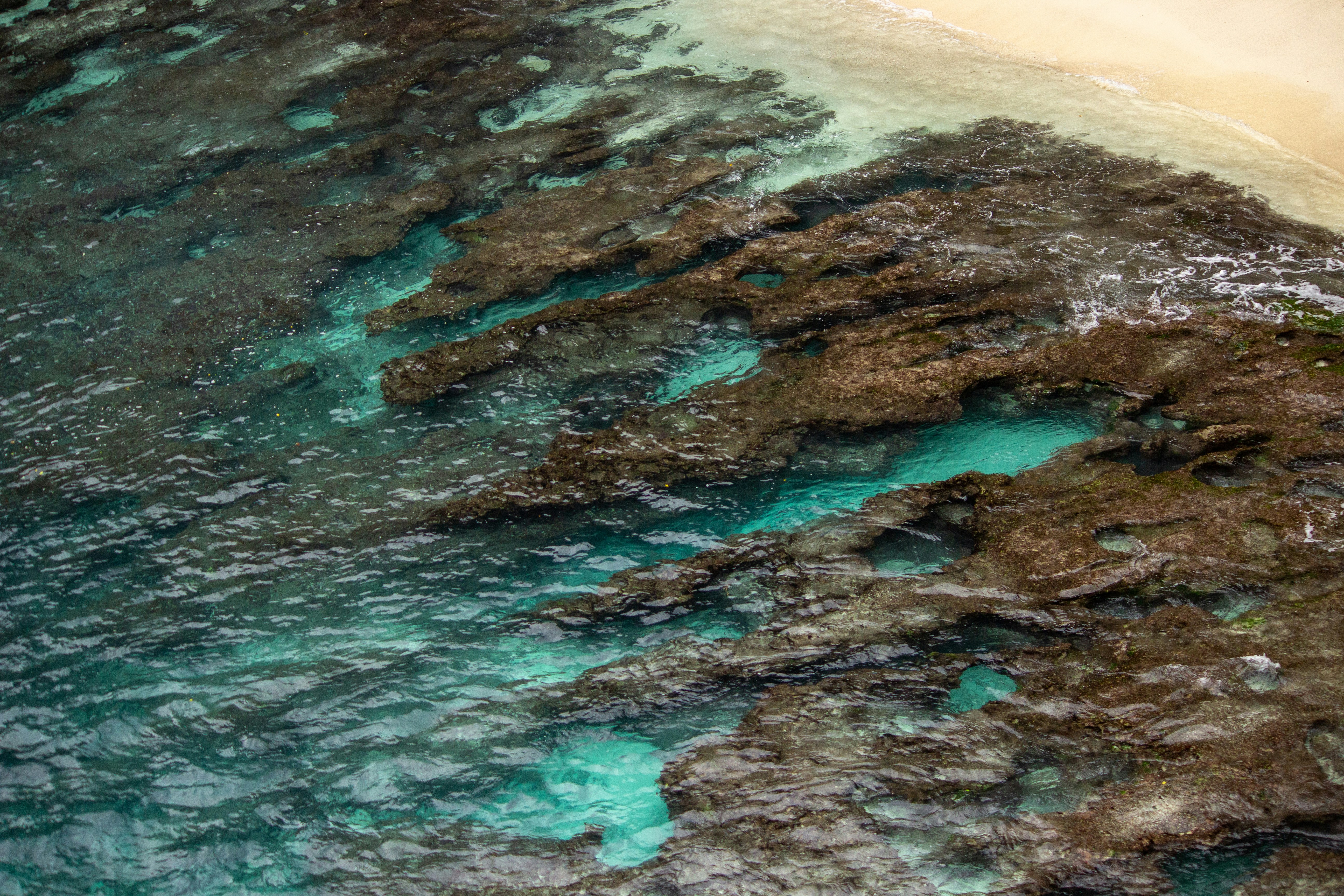 Photo by thilak_cm212