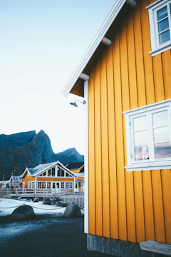 Cozy guesthouse with bright yellow accents and happy guests enjoying their stay