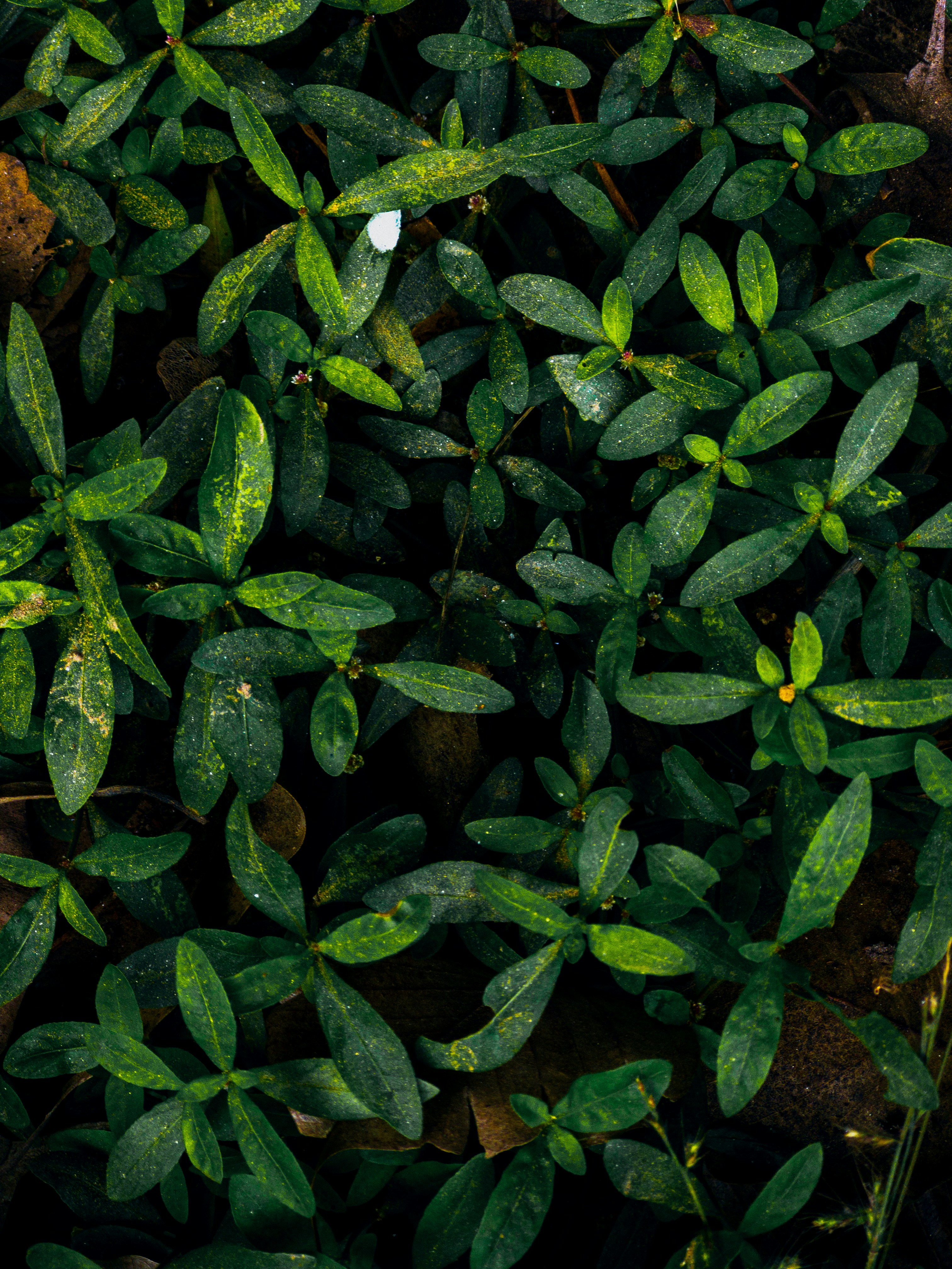 Photo by amritanshdubey