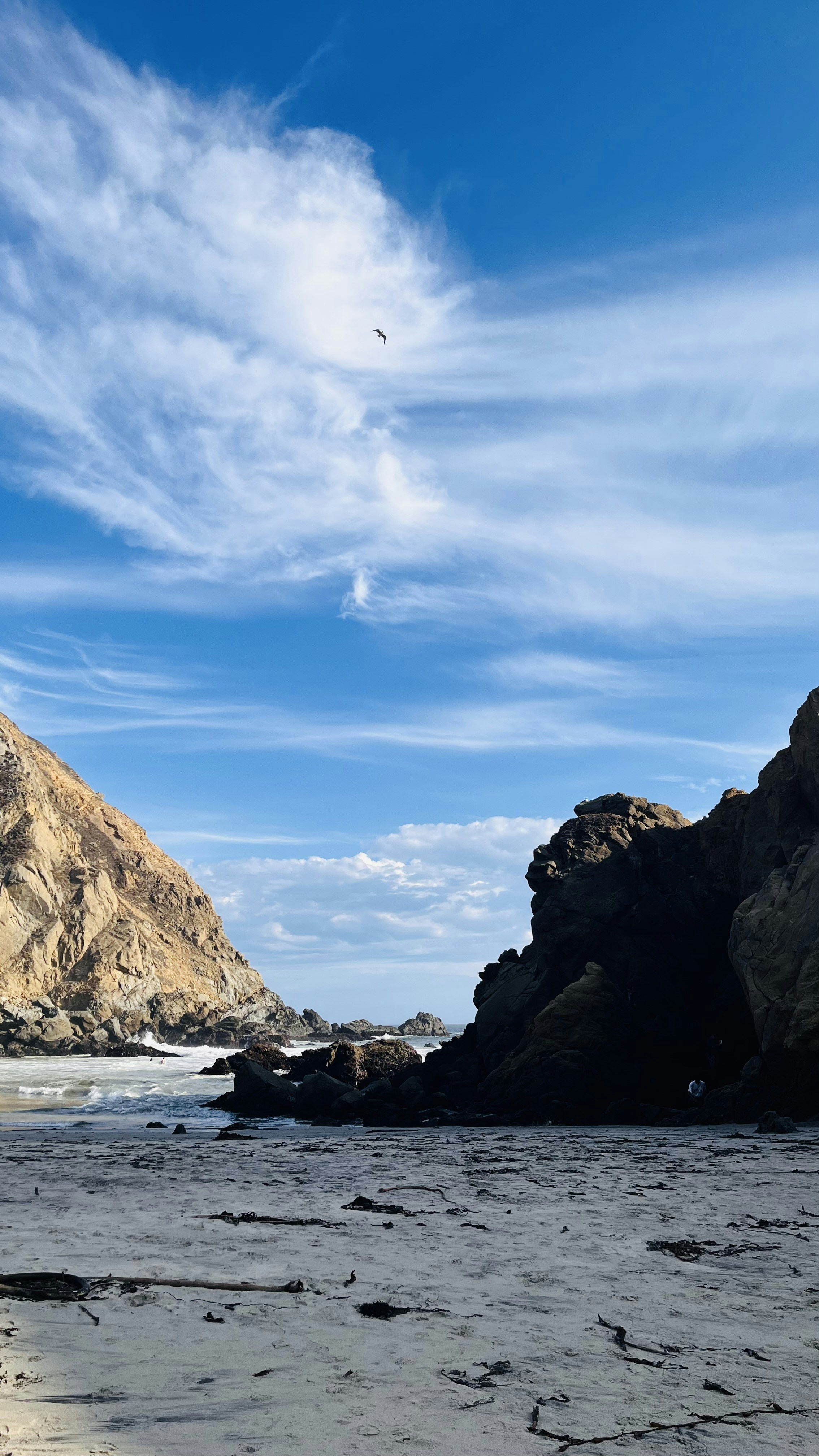 Photo by vaishali_mahajan