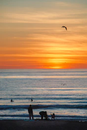 A vibrant beach scene in California with surfers catching waves at sunset.