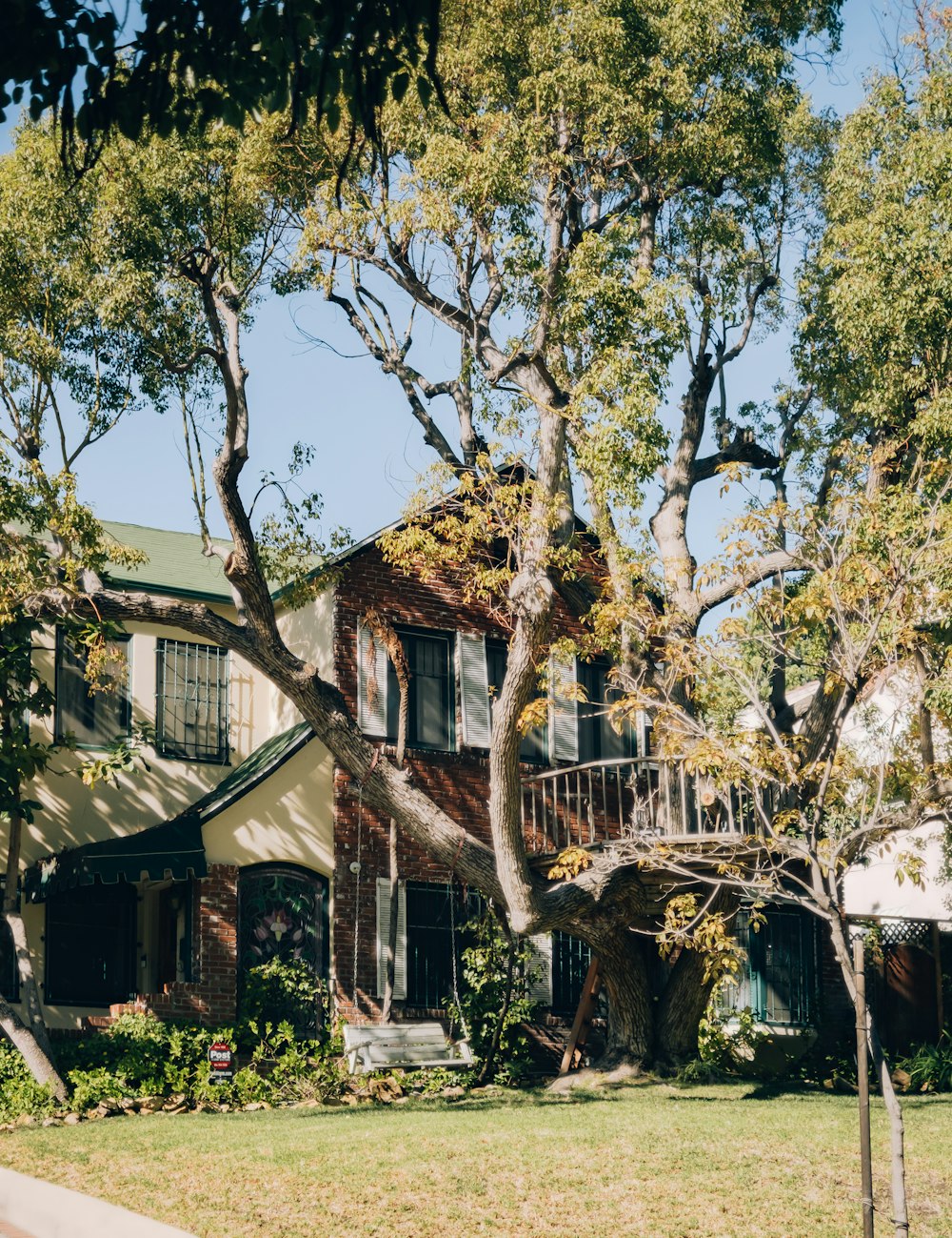 a house with a tree in front of it