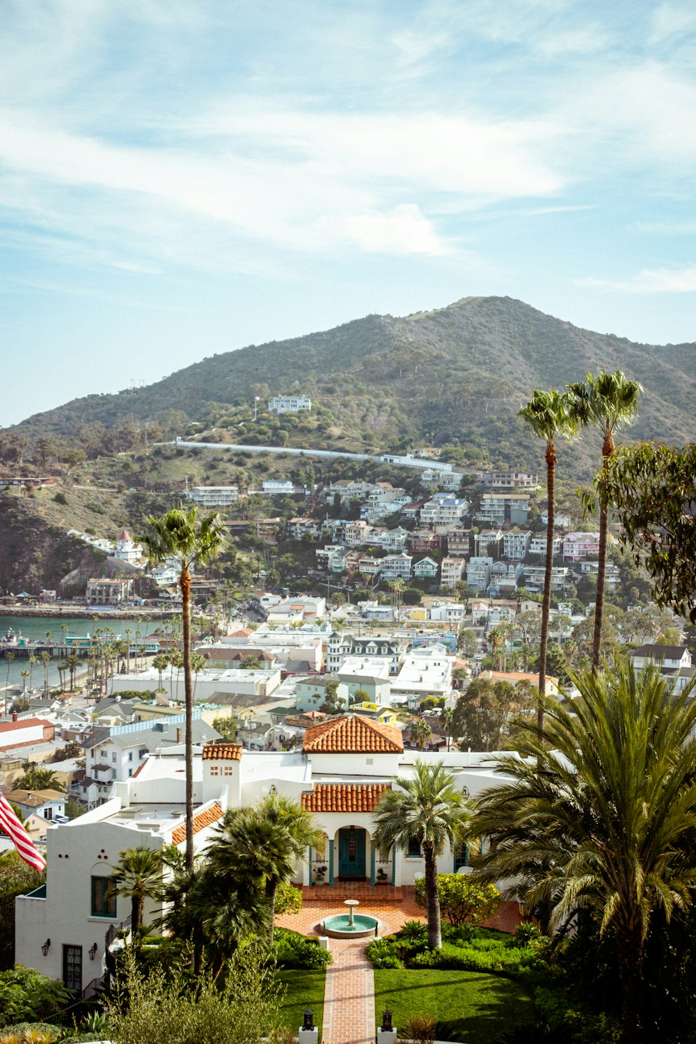 a scenic view of a city with a mountain in the background