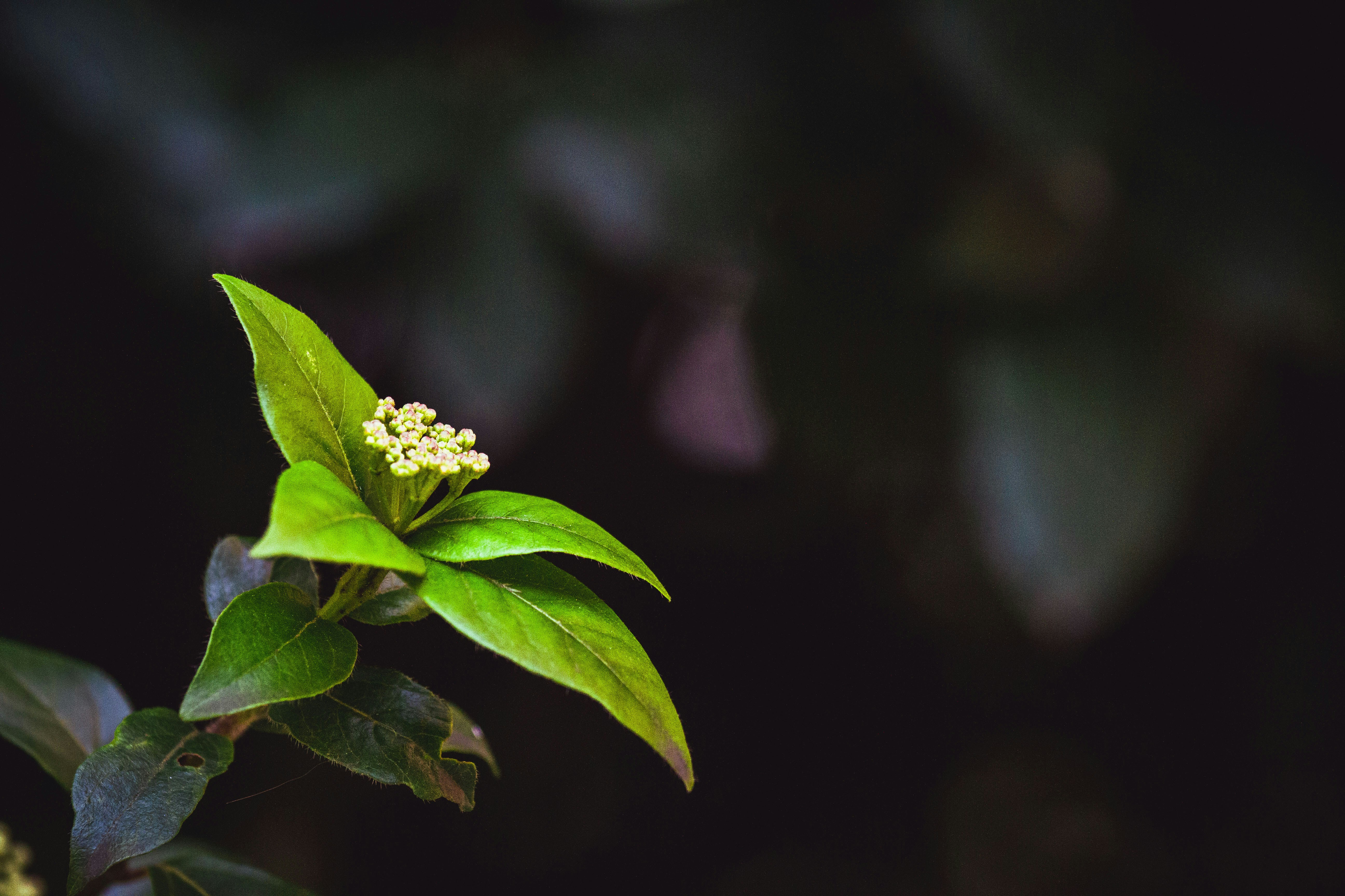 Photo by mattia_poli_04