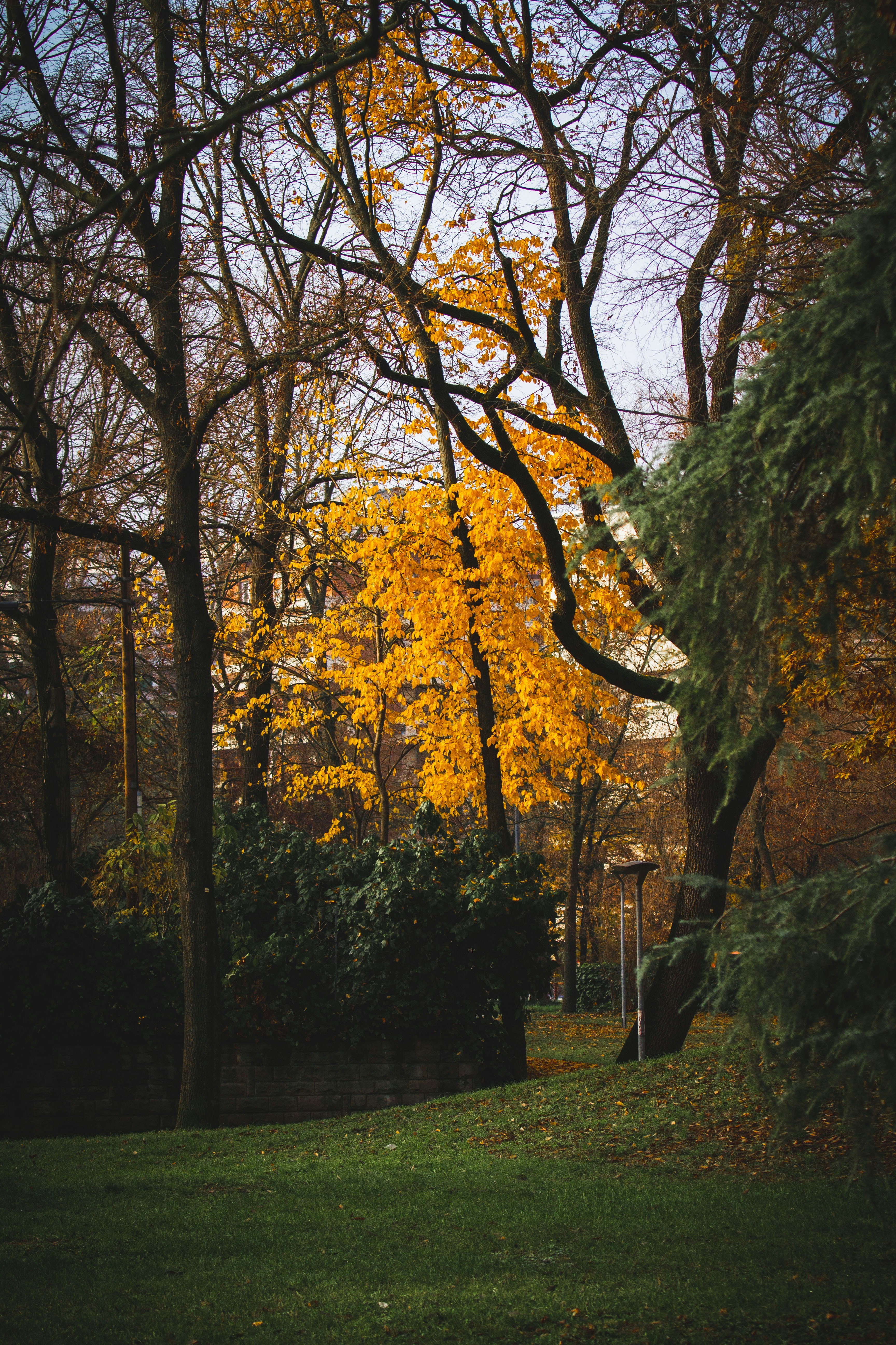 Photo by mattia_poli_04