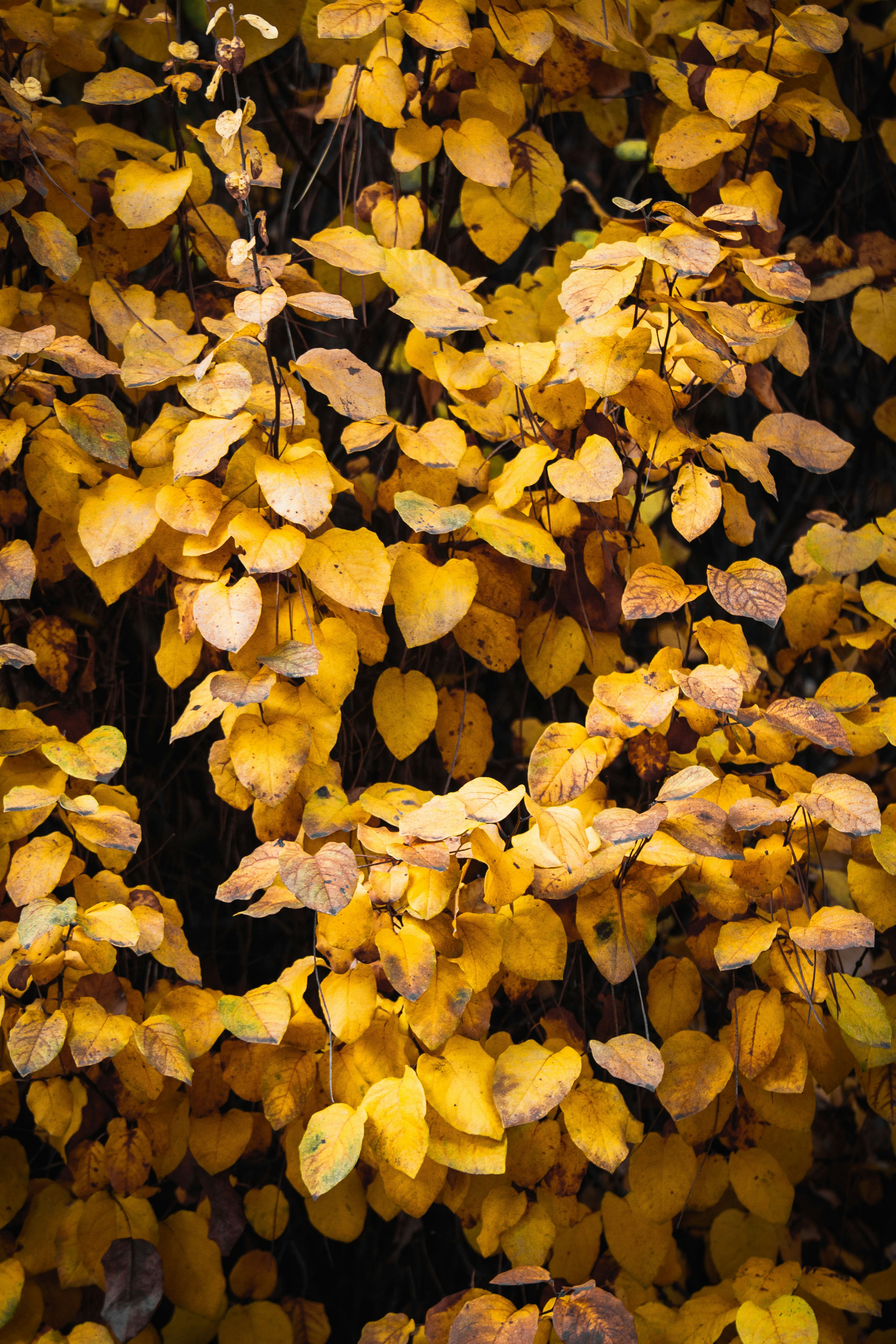 Photo by mattia_poli_04