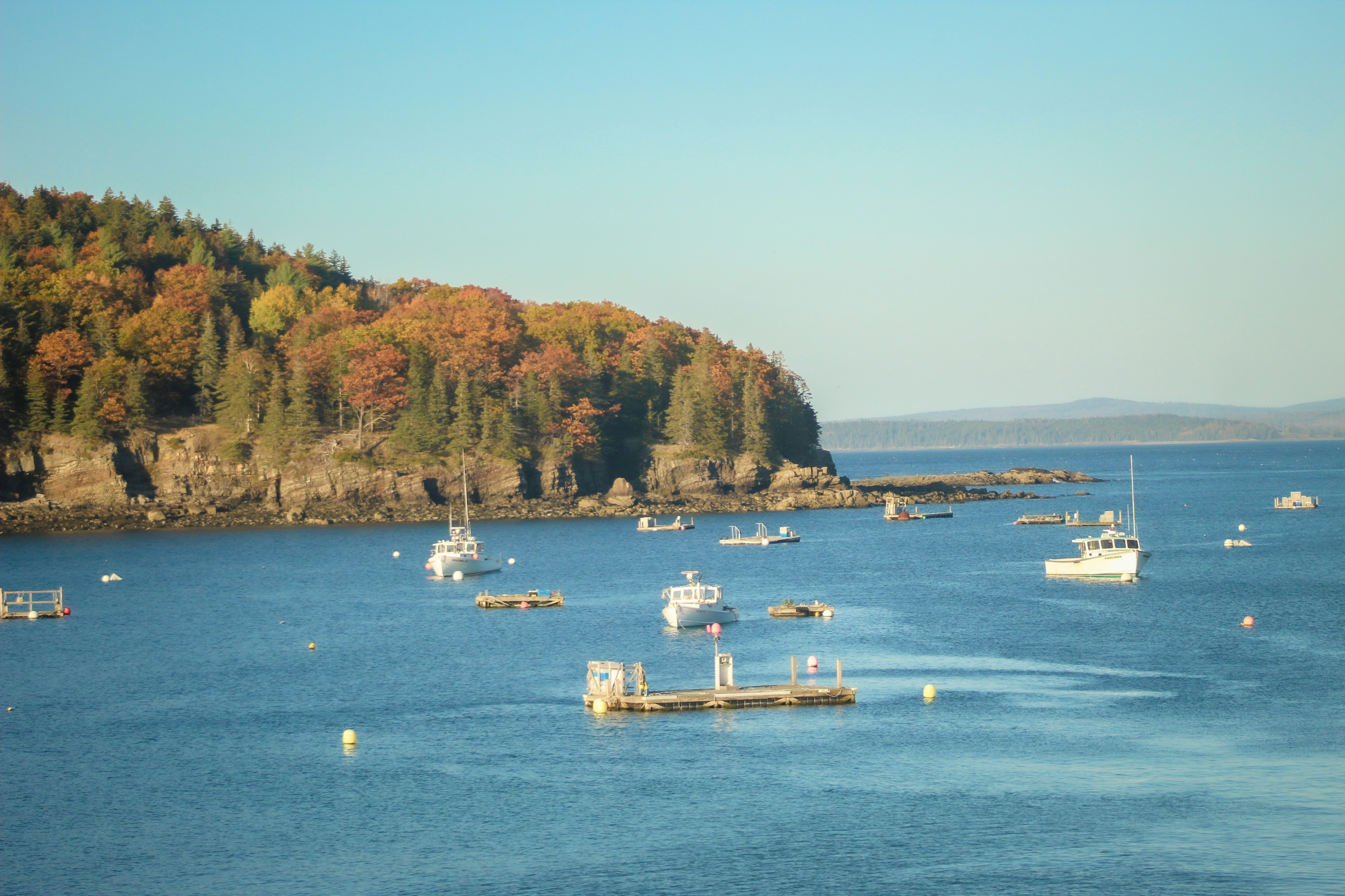 Photo by project_link