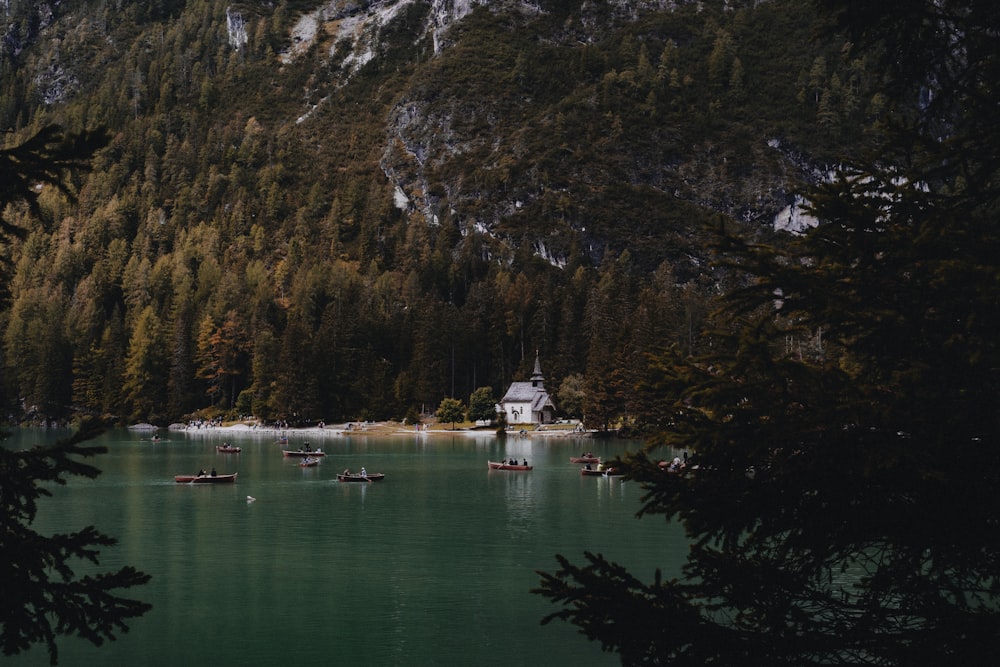 a body of water surrounded by a forest